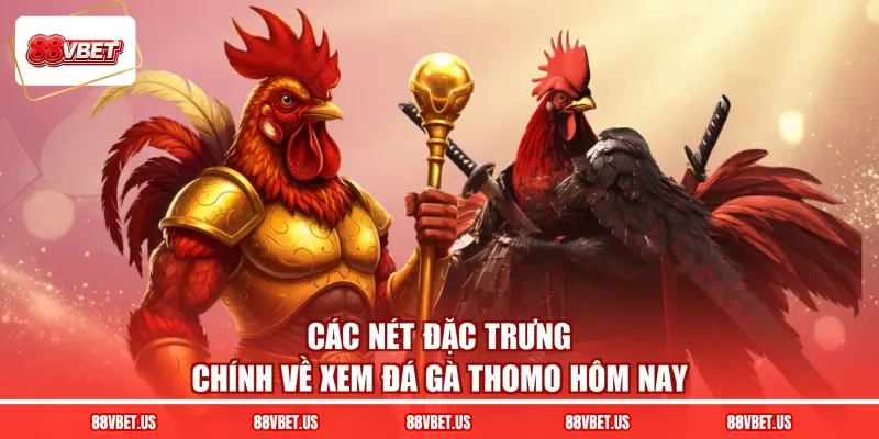 Các nét đặc trưng chính về xem đá gà thomo hôm nay