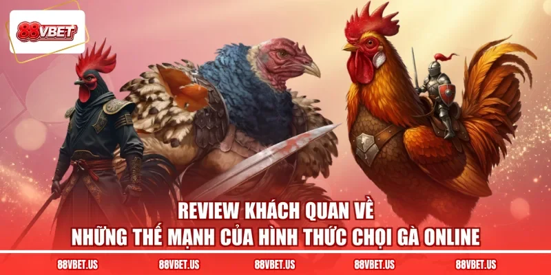 Review khách quan về những thế mạnh của hình thức chọi gà online